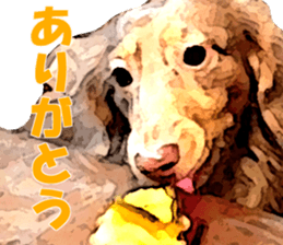 Rossi! sticker #10769438