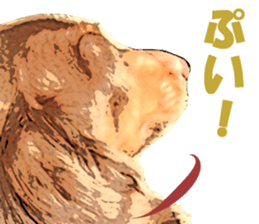 Rossi! sticker #10769446