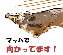 Rossi! sticker #10769460