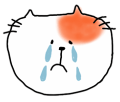 Hilarious cat of Ten sticker #10769493