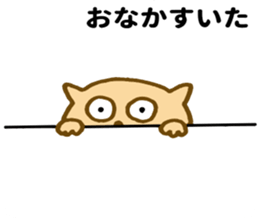 Shy cat ! sticker #10774113