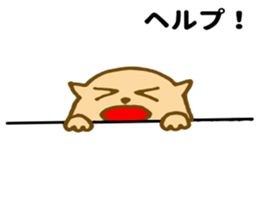 Shy cat ! sticker #10774114