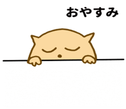 Shy cat ! sticker #10774130