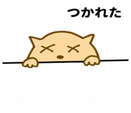 Shy cat ! sticker #10774131