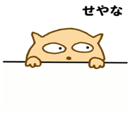 Shy cat ! sticker #10774133