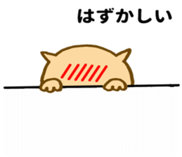 Shy cat ! sticker #10774134