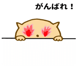 Shy cat ! sticker #10774135
