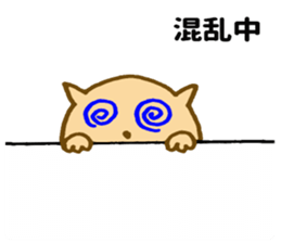 Shy cat ! sticker #10774136