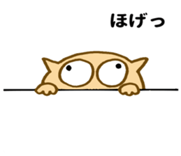 Shy cat ! sticker #10774139