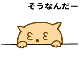 Shy cat ! sticker #10774144