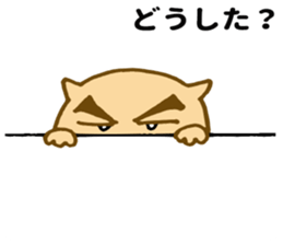 Shy cat ! sticker #10774147