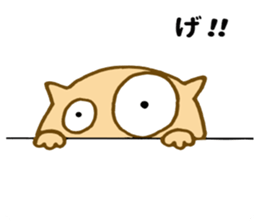 Shy cat ! sticker #10774148