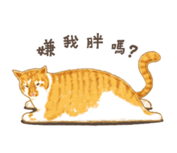 chairman's daily sticker #10774395