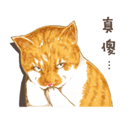 chairman's daily sticker #10774407