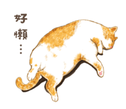 chairman's daily sticker #10774410