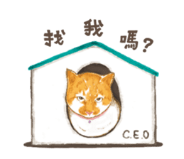 chairman's daily sticker #10774420