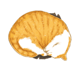 chairman's daily sticker #10774423