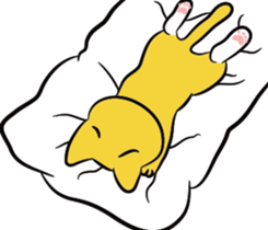 Maru & Marimo sticker #10776169