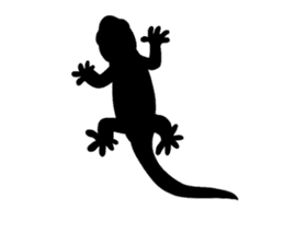 Daily life of gecko sticker #10776986