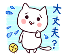 Cat Sticker PAFO sticker #10777266