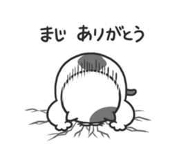 Funny cats of nojako3 sticker #10779003