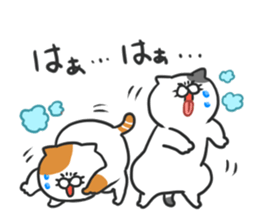 Funny cats of nojako3 sticker #10779030