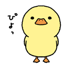 real baby duck sticker #10785976