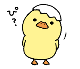 real baby duck sticker #10785977