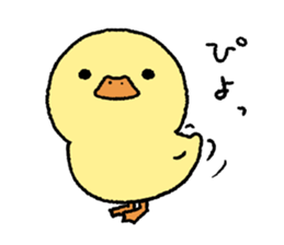 real baby duck sticker #10785978