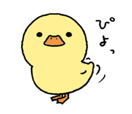 real baby duck sticker #10785978