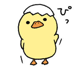 real baby duck sticker #10785980