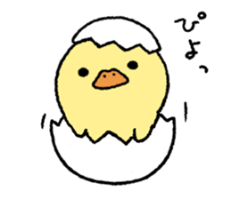 real baby duck sticker #10785981