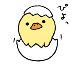 real baby duck sticker #10785981