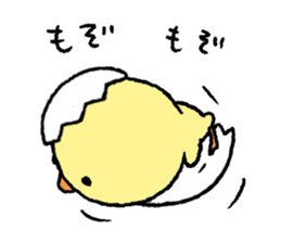 real baby duck sticker #10785982