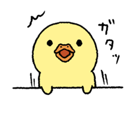 real baby duck sticker #10785987