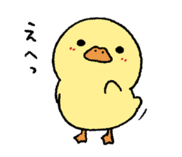 real baby duck sticker #10785988