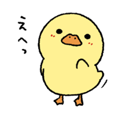 real baby duck sticker #10785988