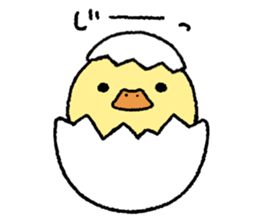 real baby duck sticker #10785993