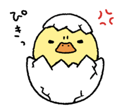 real baby duck sticker #10785994