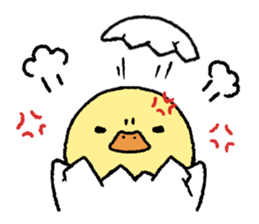 real baby duck sticker #10785995