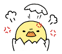 real baby duck sticker #10785995