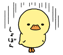real baby duck sticker #10785996