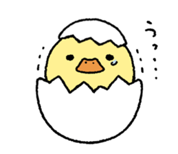 real baby duck sticker #10785997