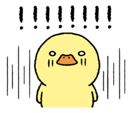 real baby duck sticker #10785999