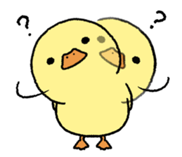 real baby duck sticker #10786009