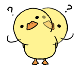 real baby duck sticker #10786009