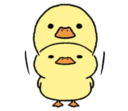 real baby duck sticker #10786010