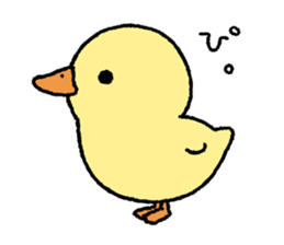 real baby duck sticker #10786012
