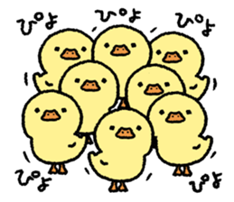 real baby duck sticker #10786015