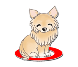 Daily life of Chihuahua sticker #10786461
